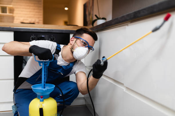 Best Flea Control Services  in Lakeside, TX