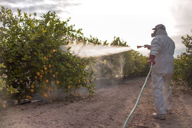 Best Wildlife Control Services  in Lakeside, TX