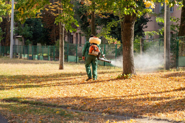 Best Wasp Removal Services  in Lakeside, TX