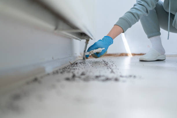 Best Emergency Pest Control  in Lakeside, TX