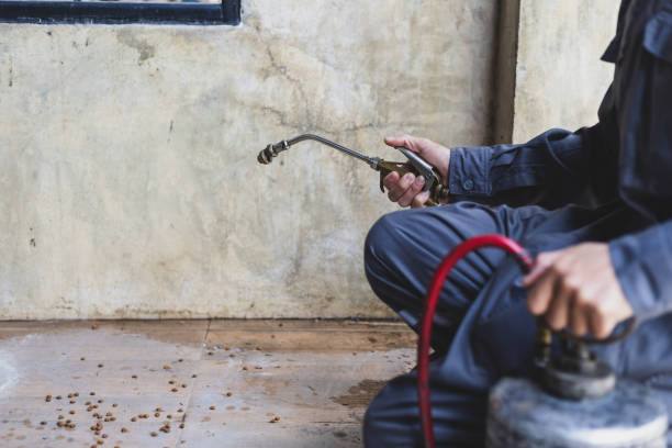 Best Best Pest Control Companies  in Lakeside, TX
